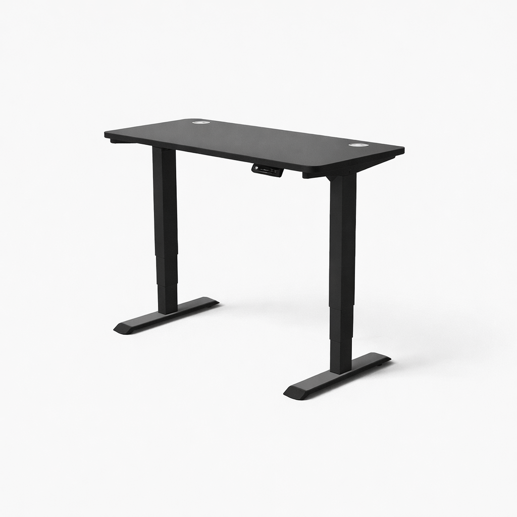 MyDesk Electric Sit-Stand Desk