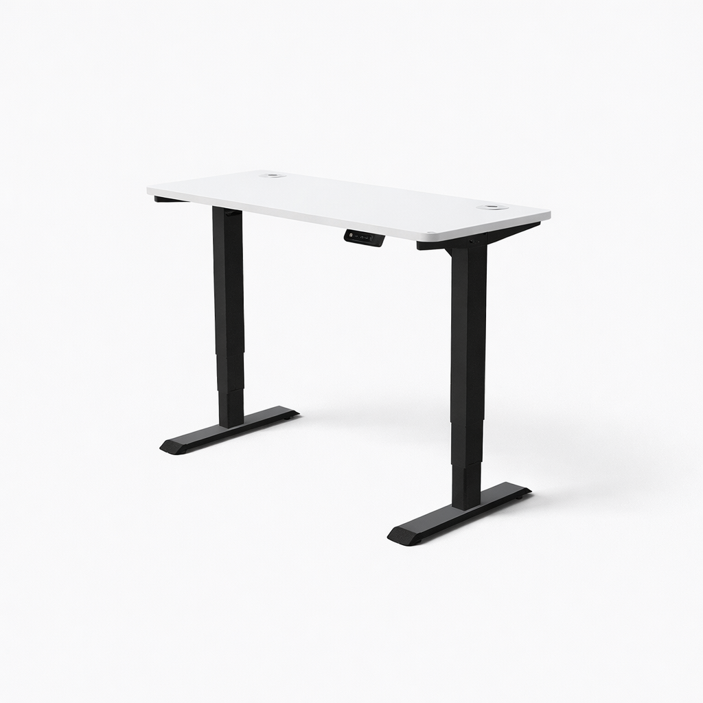 MyDesk Electric Sit-Stand Desk