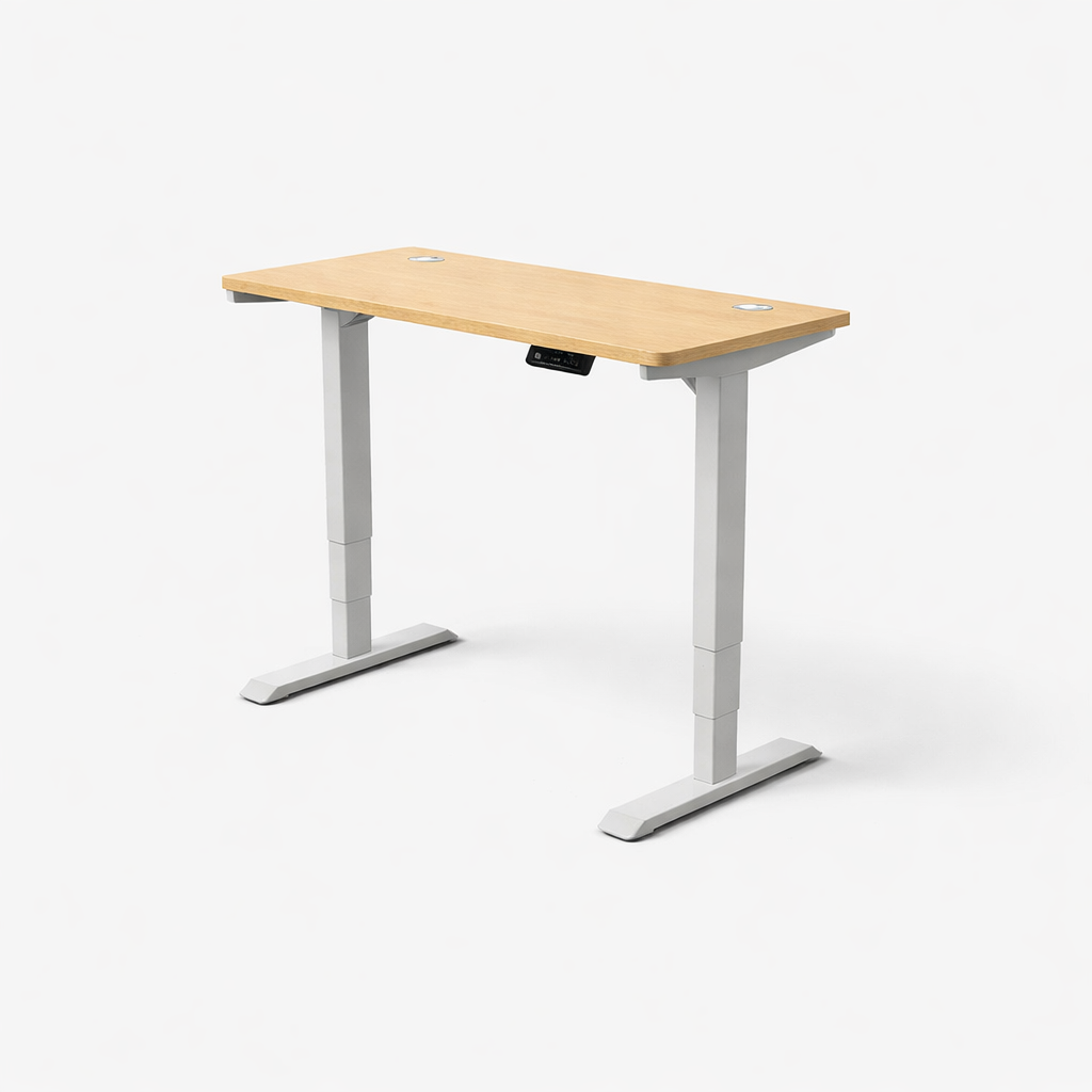 MyDesk Electric Sit-Stand Desk