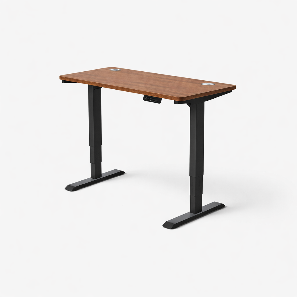 MyDesk Electric Sit-Stand Desk