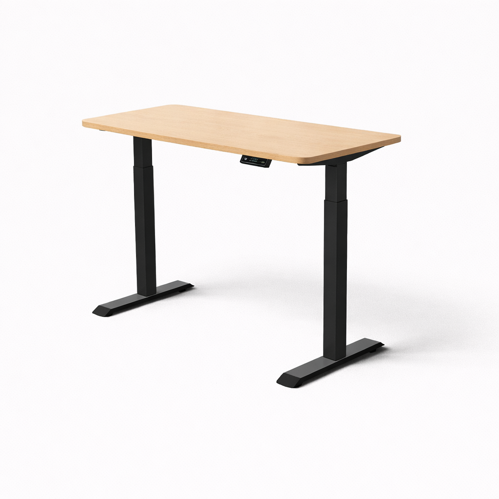 MyDesk Electric Sit-Stand Desk