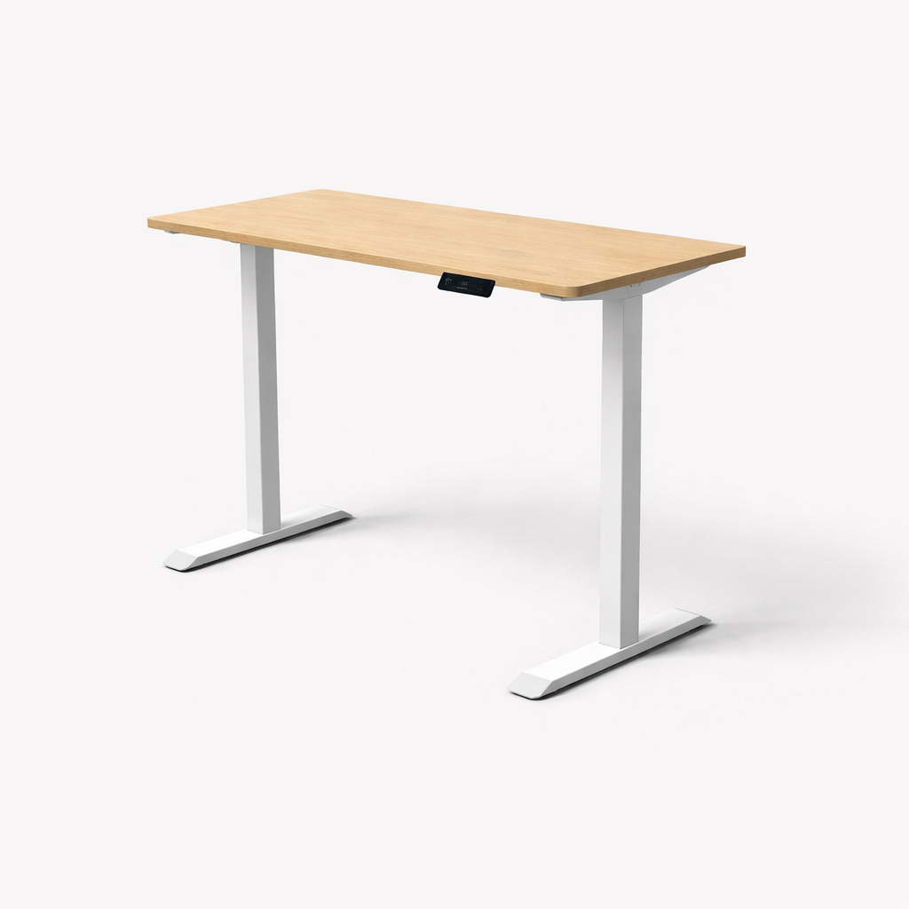 MyDesk Electric Sit-Stand Desk