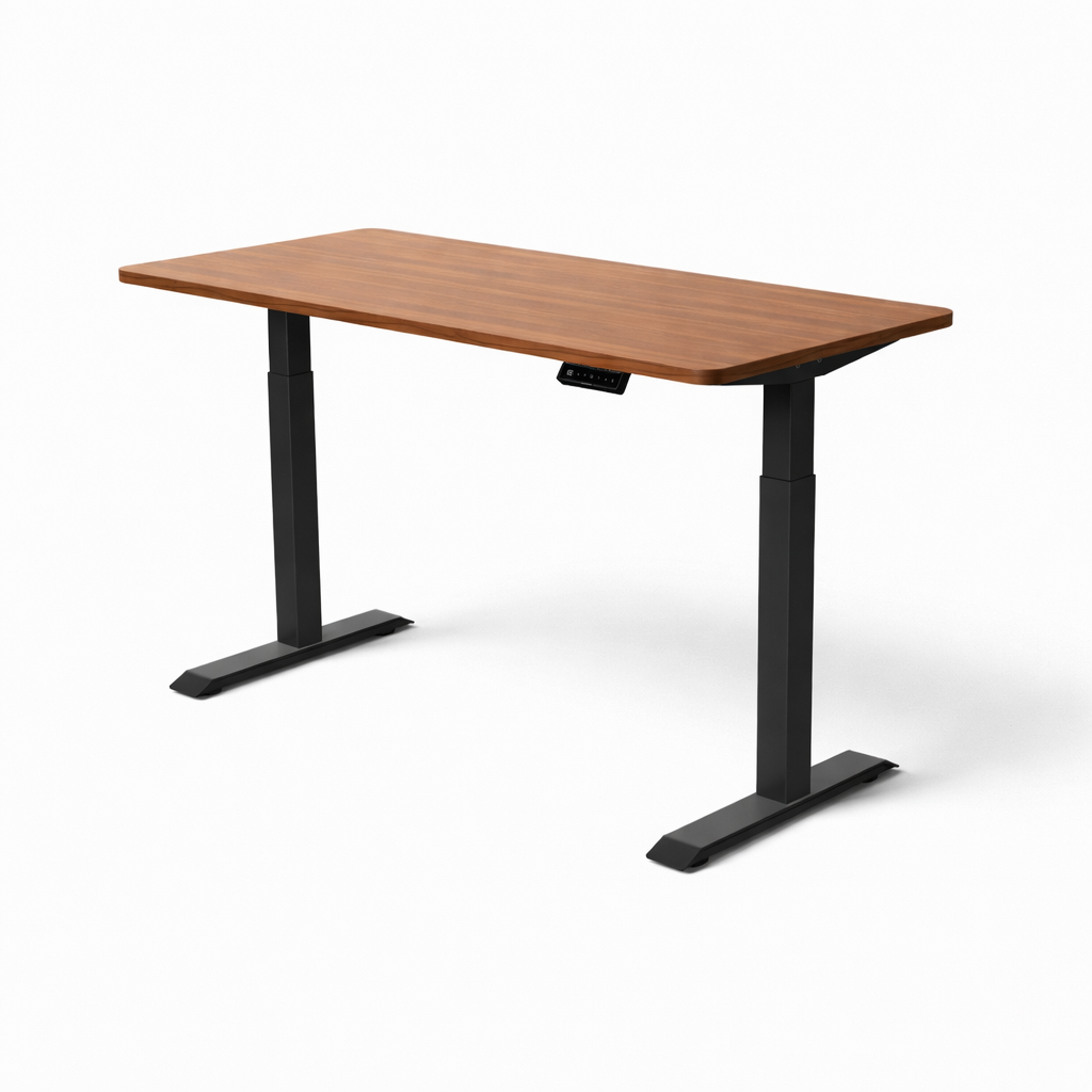MyDesk Electric Sit-Stand Desk