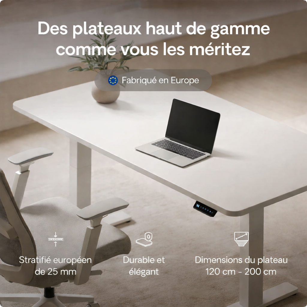 MyDesk Electric Sit-Stand Desk