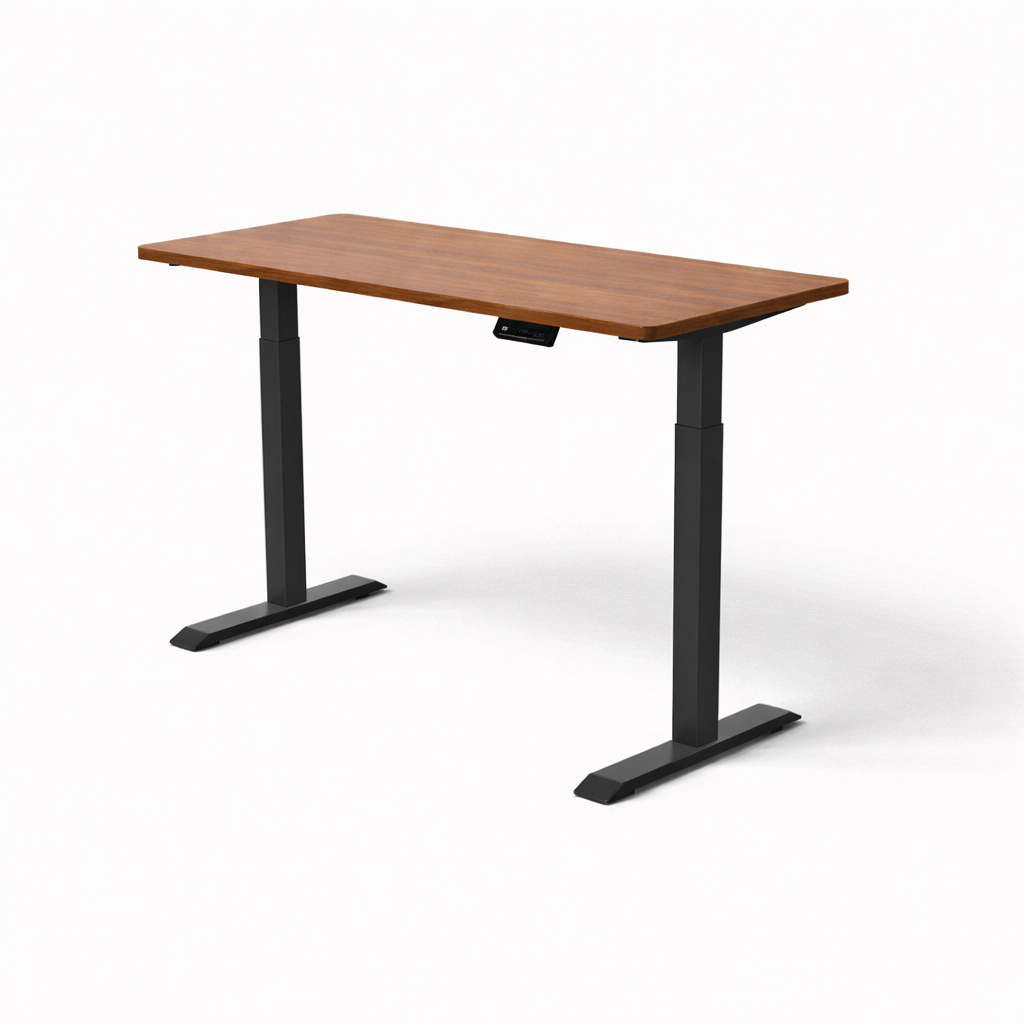 MyDesk Electric Sit-Stand Desk