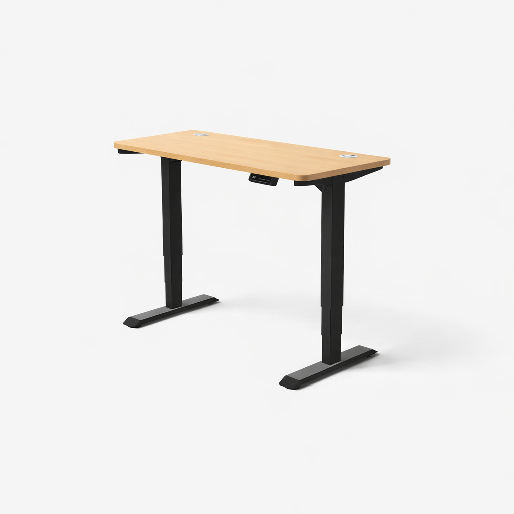 MyDesk Electric Sit-Stand Desk