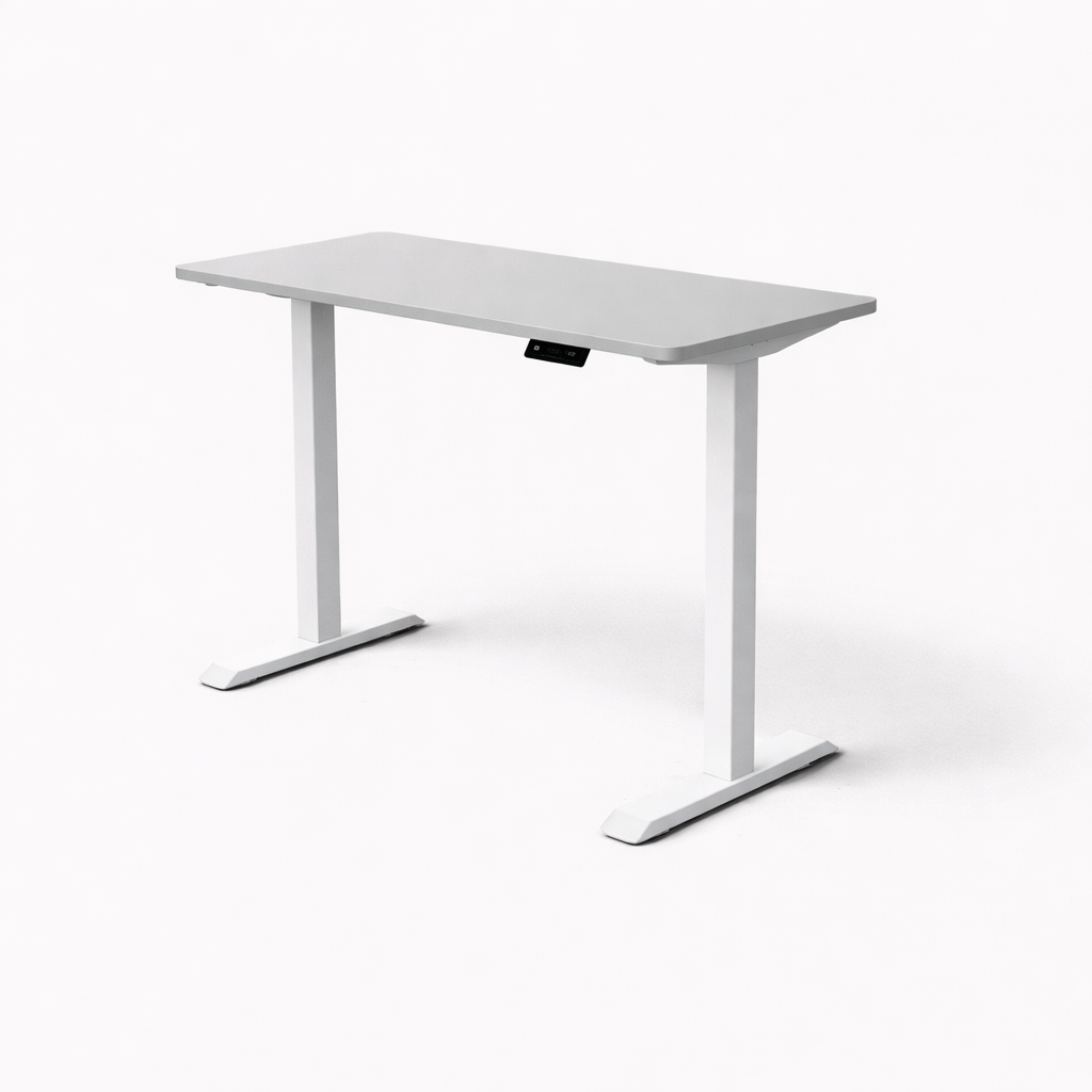 MyDesk Electric Sit-Stand Desk