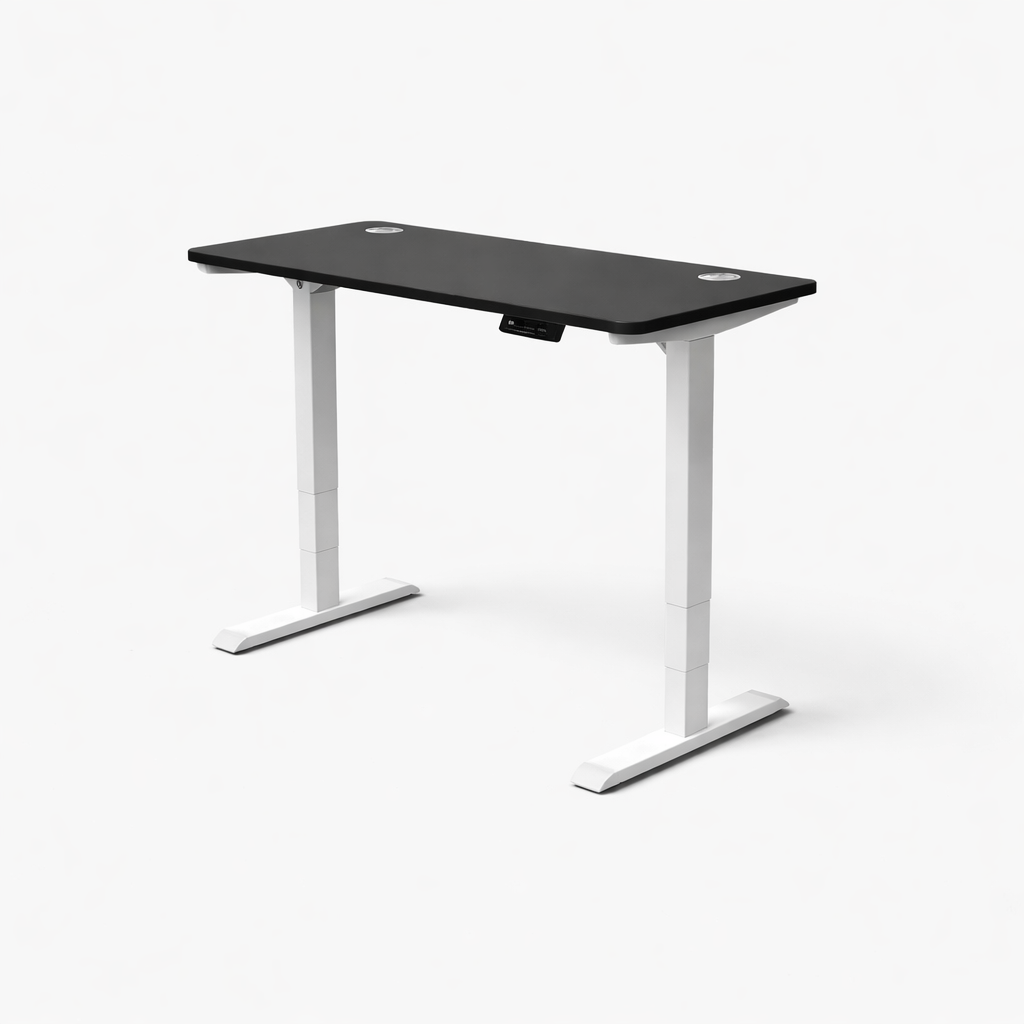 MyDesk Electric Sit-Stand Desk