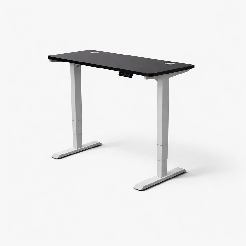 MyDesk Electric Sit-Stand Desk