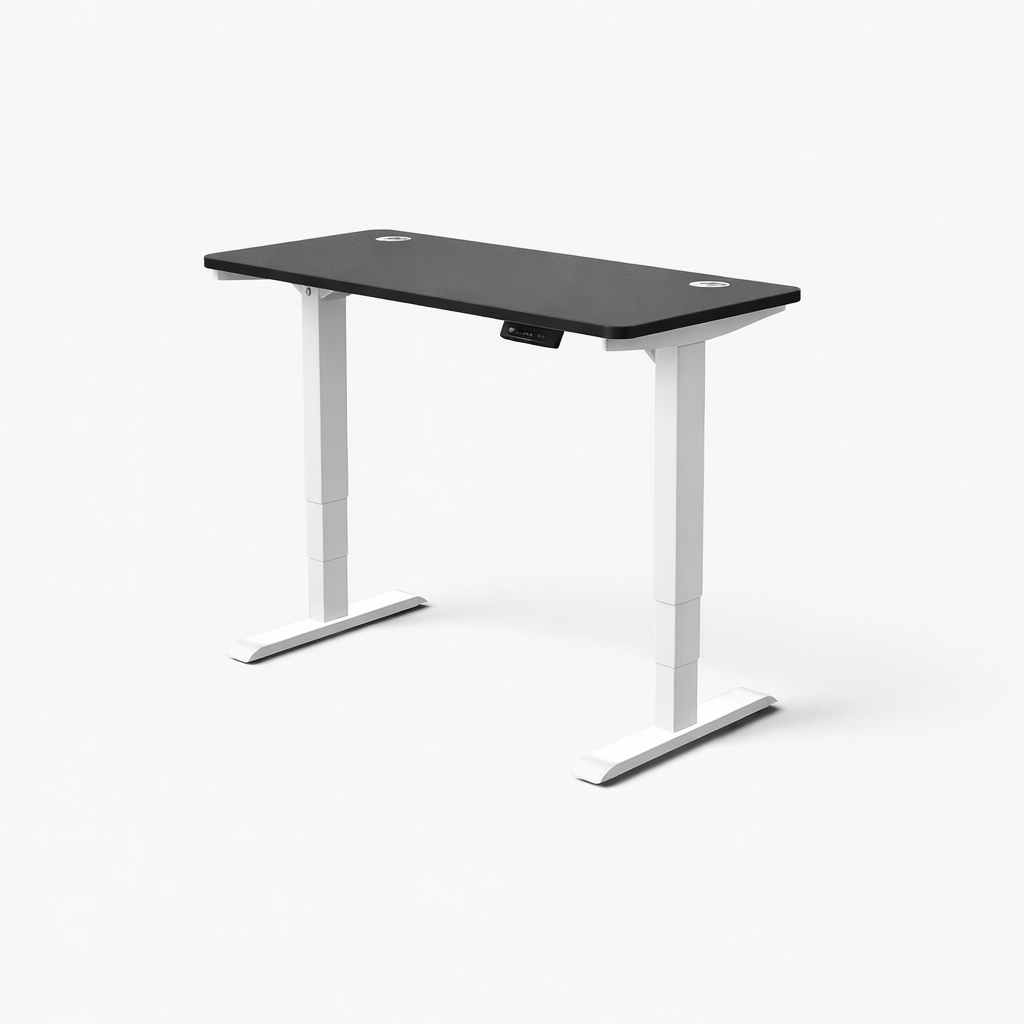 MyDesk Electric Sit-Stand Desk